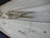 Real - China manufacturer product image